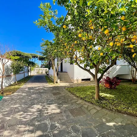 Lavinium - Lavinio Holiday home *